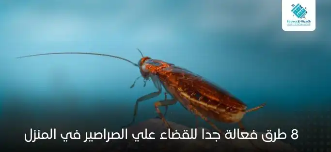 8 طرق فعالة جدا للقضاء علي الصراصير في المنزل