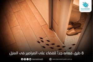 8 طرق فعاله جداً للقضاء على الصراصير فى المنزل