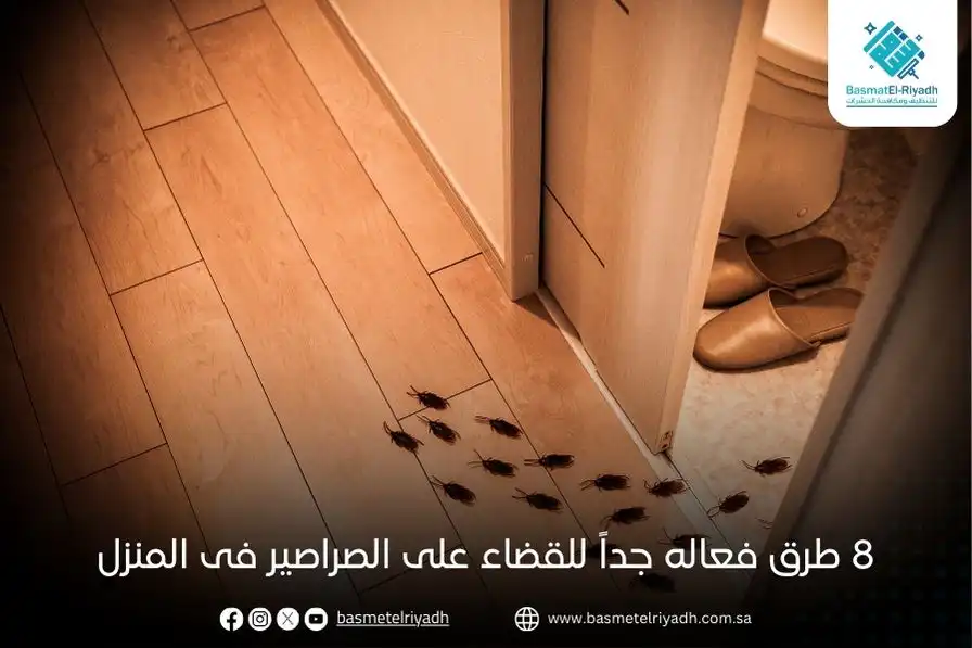 8 طرق فعاله جداً للقضاء على الصراصير فى المنزل