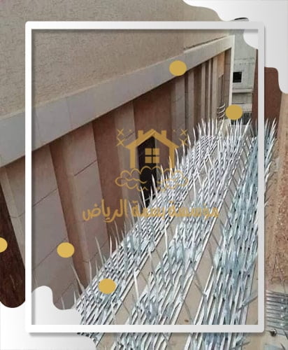 تركيب طارد حمام بواسطة بسمة الرياض
