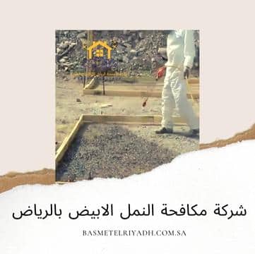 شركة مكافحة النمل الابيض بالرياض