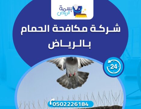 شركة مكافحة الحمام بالرياض