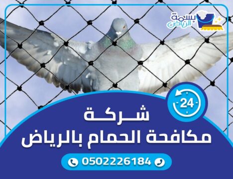 شركات مكافحة الحمام بالرياض