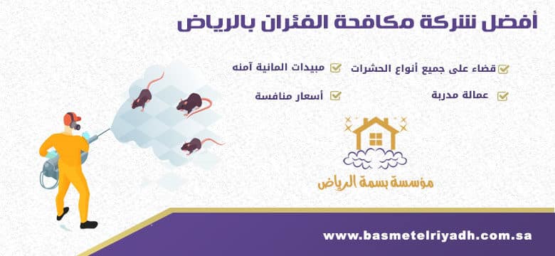 شركة مكافحة الفئران بالرياض