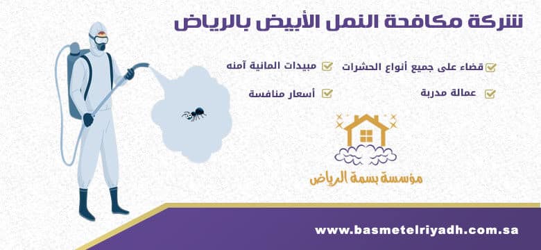 شركة مكافحة النمل الابيض بالرياض