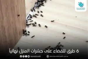 6 طرق للقضاء على حشرات المنزل نهائياً