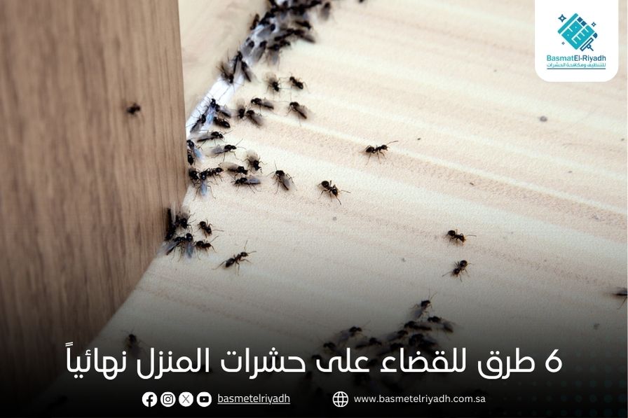 6 طرق للقضاء على حشرات المنزل نهائياً