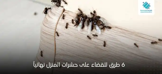 6 طرق للقضاء على حشرات المنزل نهائياً