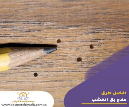 افضل طرق علاج بق الخشب
