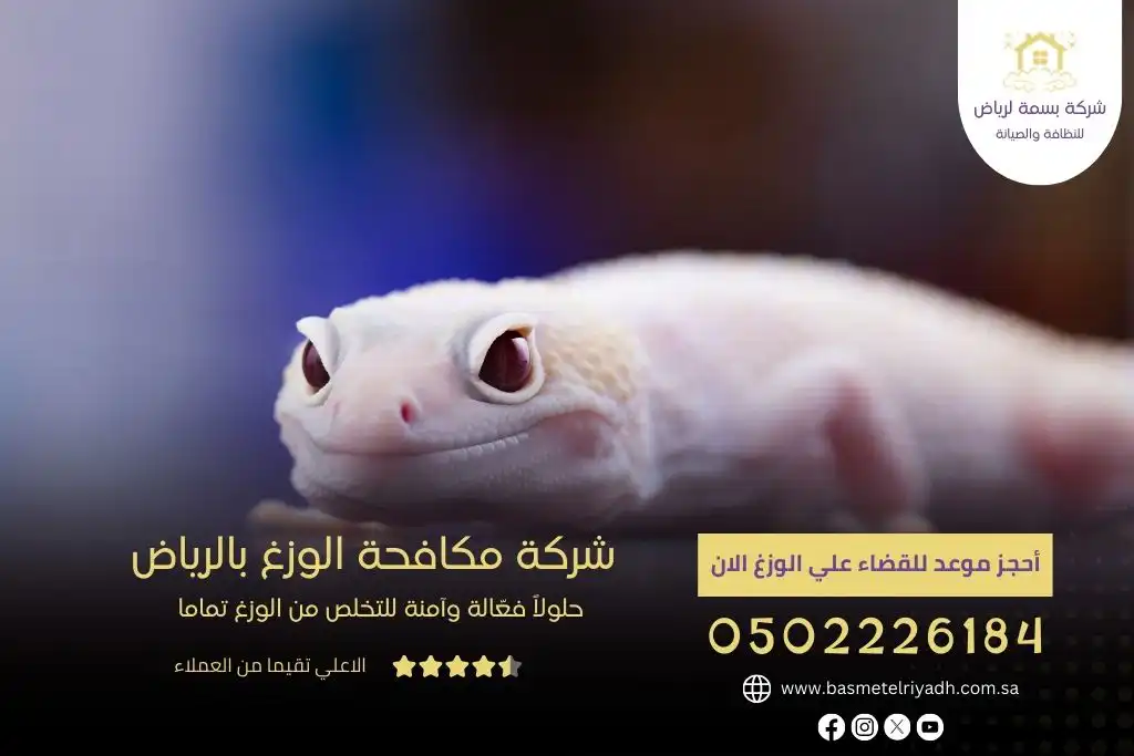 شركة مكافحة الوزغ بالرياض 2