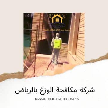 شركة مكافحة الوزغ بالرياض