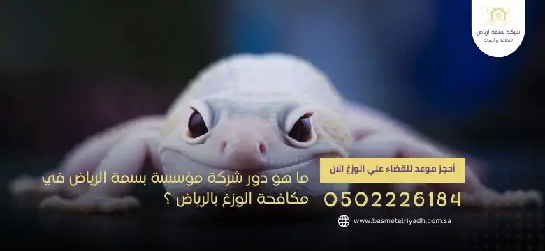 ما هو دور شركة مؤسسة بسمة الرياض في مكافحة الوزغ بالرياض ؟