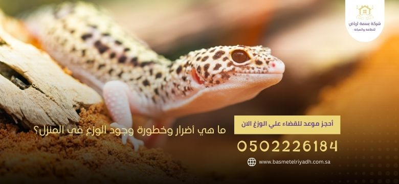 ما هي أضرار وخطورة وجود الوزغ في المنزل ؟