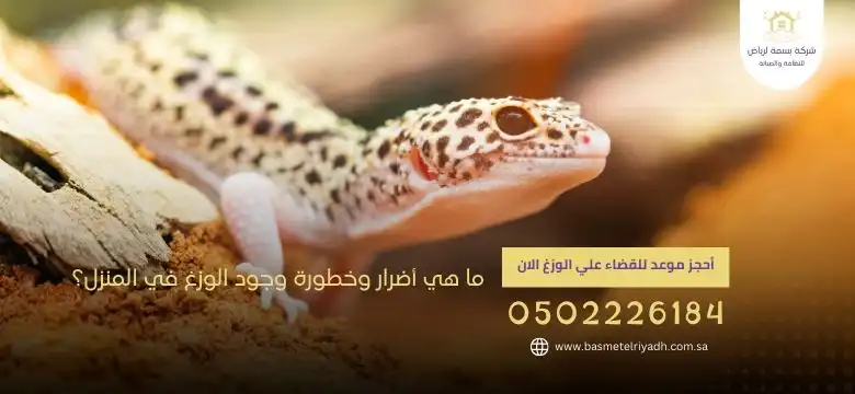 ما هي أضرار وخطورة وجود الوزغ في المنزل ؟