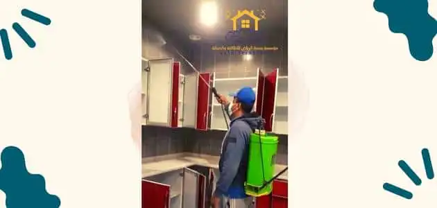 شركة مكافحة الحشرات بمكة