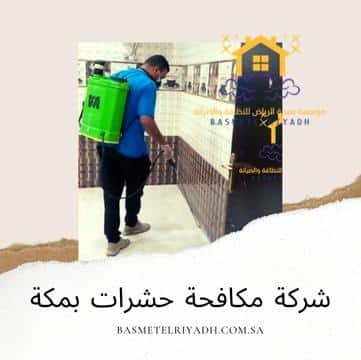 شركة مكافحة حشرات بمكة