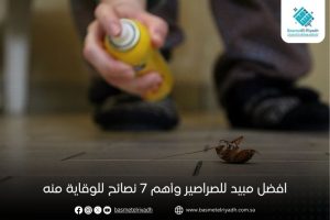 افضل مبيد للصراصير وأهم 7 نصائح للوقاية منه