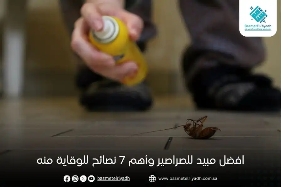 افضل مبيد للصراصير وأهم 7 نصائح للوقاية منه