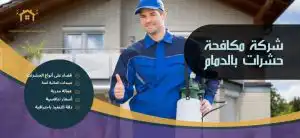 شركة مكافحة حشرات بالدمام