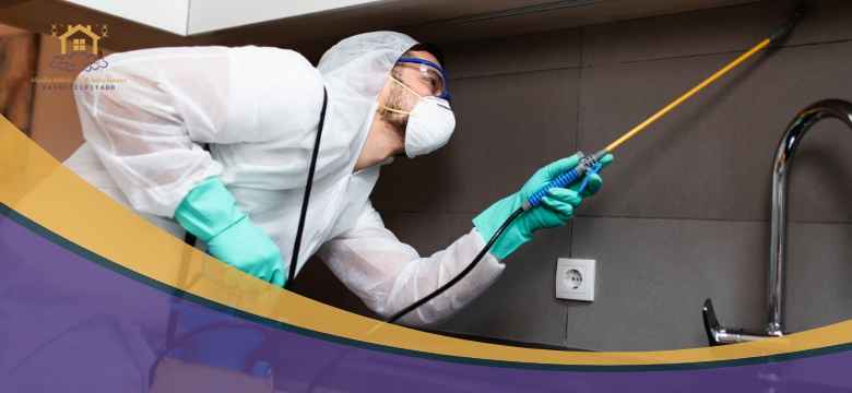 أرخص شركة مكافحة حشرات بالأحساء