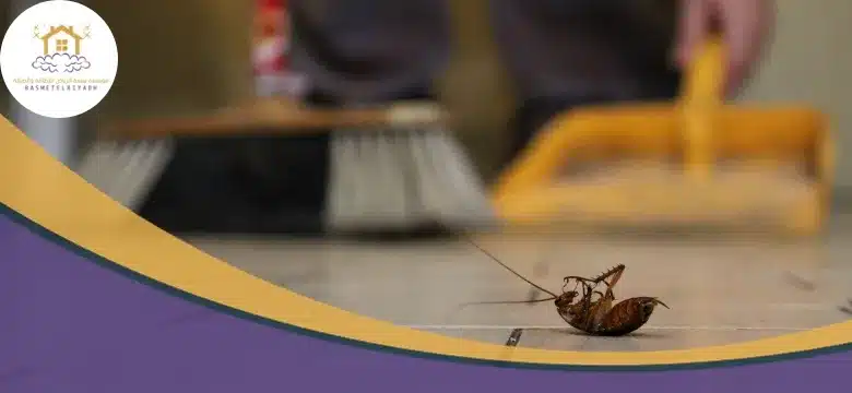 شركة لقتل الصراصير بمكة