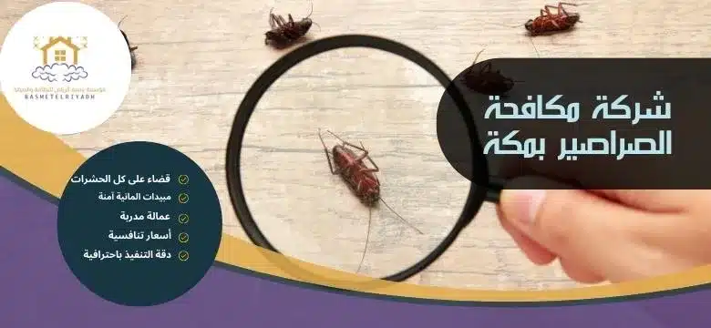 شركة مكافحة الصراصير بمكة