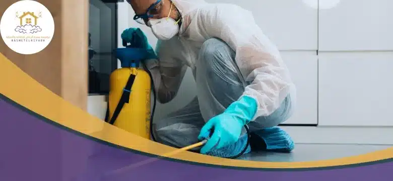 خدمات شركة مكافحة النمل الابيض في مكة