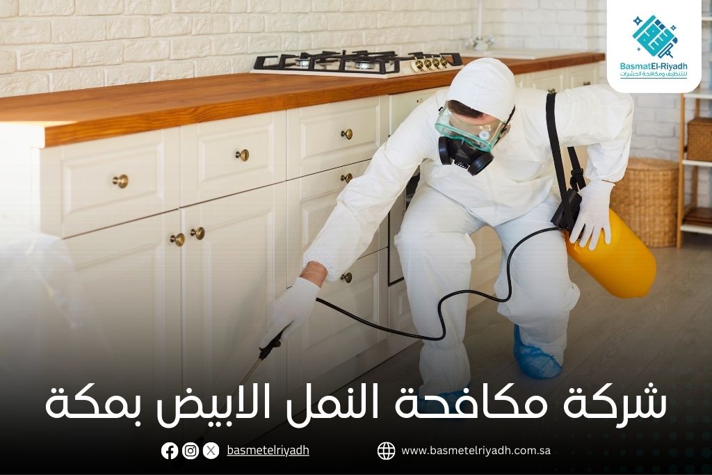 شركة مكافحة النمل الابيض بمكة