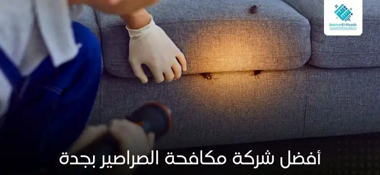 أفضل شركة مكافحة الصراصير بجدة