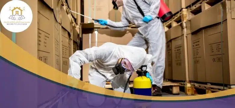 خطوات عمل شركة رش صراصير بجده