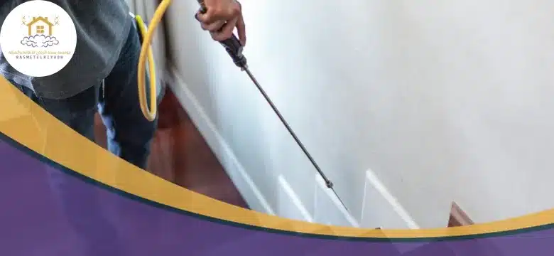 شركة رش مبيدات بجدة