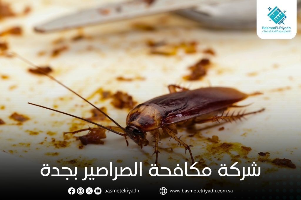 شركة مكافحة الصراصير بجدة