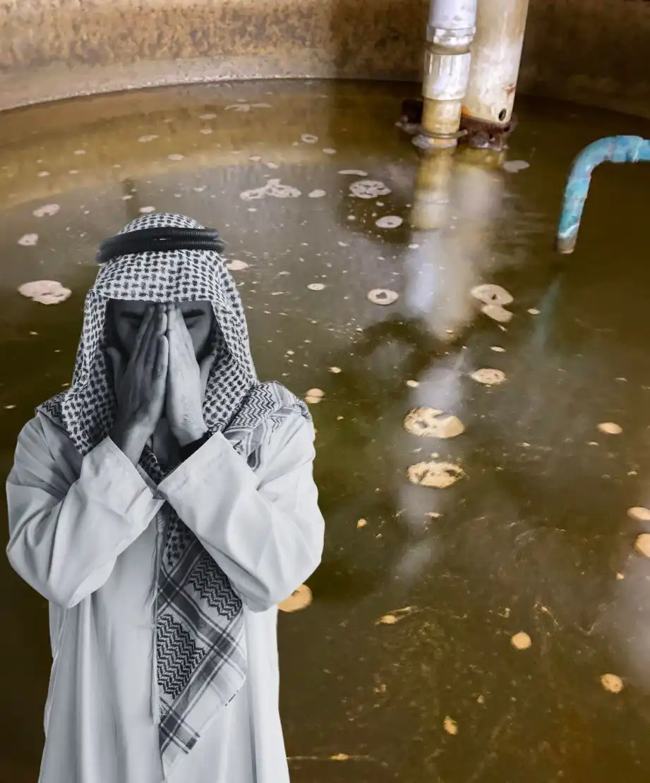 خدمة تنظيف وغسيل السجاد