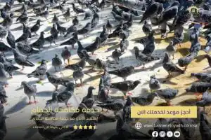خدمة مكافحة الحمام من بسمة الرياض