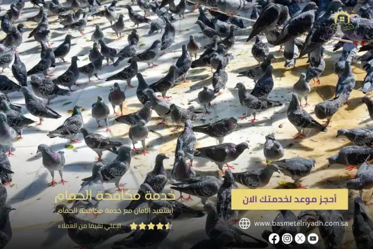 خدمة مكافحة الحمام من بسمة الرياض