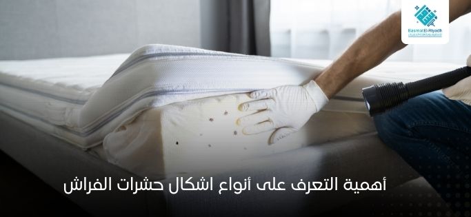 اسرع 7 طرق للقضاء على حشرات الفراش