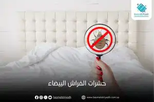 حشرات الفراش البيضاء