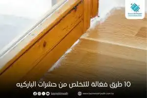 10 طرق فعّالة للتخلص من حشرات الباركيه