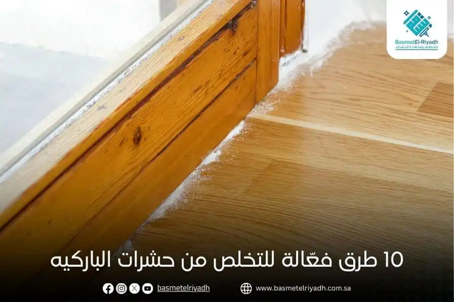 10 طرق فعّالة للتخلص من حشرات الباركيه