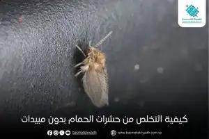 كيفية التخلص من حشرات الحمام بدون مبيدات