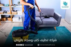 شركة تنظيف كنب وسجاد بالرياض