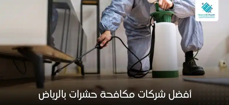أفضل شركات مكافحة حشرات بالرياض