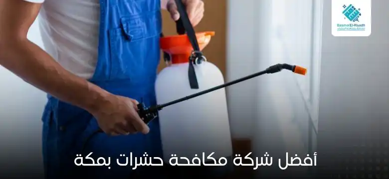 أفضل شركة مكافحة حشرات بمكة