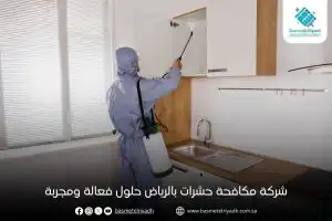 شركة مكافحة حشرات بالرياض حلول فعالة ومجربة