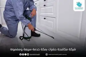 شركة مكافحة حشرات بمكة خدمة سريعة ومضمونة