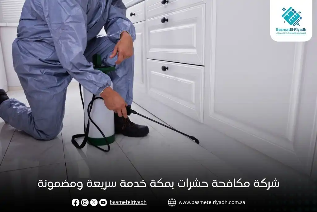 شركة مكافحة حشرات بمكة خدمة سريعة ومضمونة