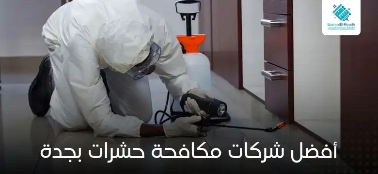أفضل شركات مكافحة حشرات بجدة