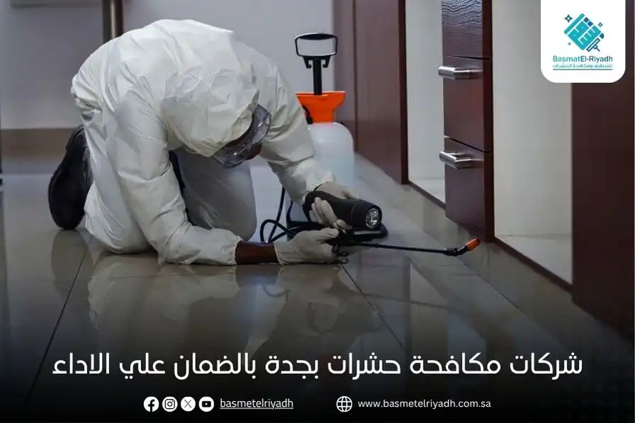 شركات مكافحة حشرات بجدة بالضمان علي الاداء