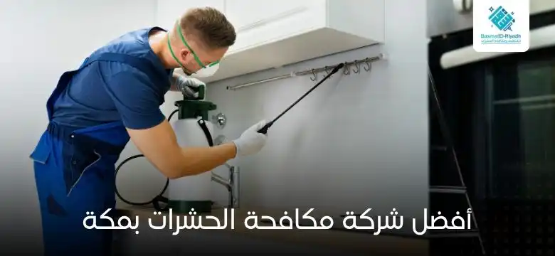أفضل شركة مكافحة الحشرات بمكة