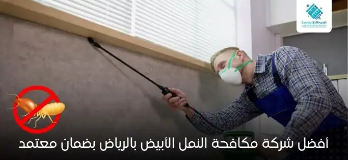 أفضل شركة مكافحة النمل الأبيض بالرياض بضمان معتمد